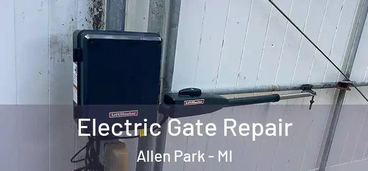 Electric Gate Repair Allen Park - MI