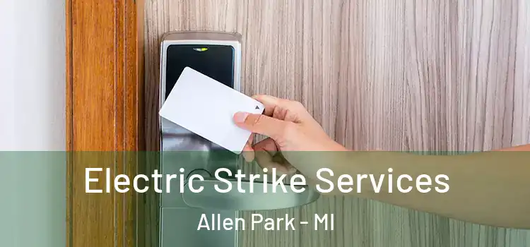  Electric Strike Services Allen Park - MI