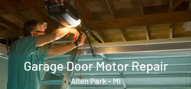  Garage Door Motor Repair Allen Park - MI