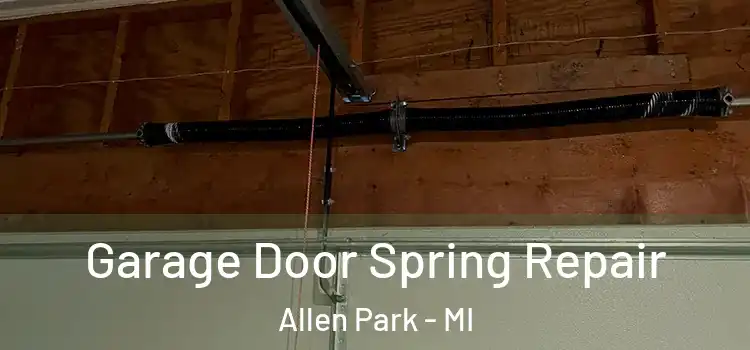  Garage Door Spring Repair Allen Park - MI