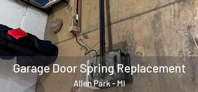  Garage Door Spring Replacement Allen Park - MI