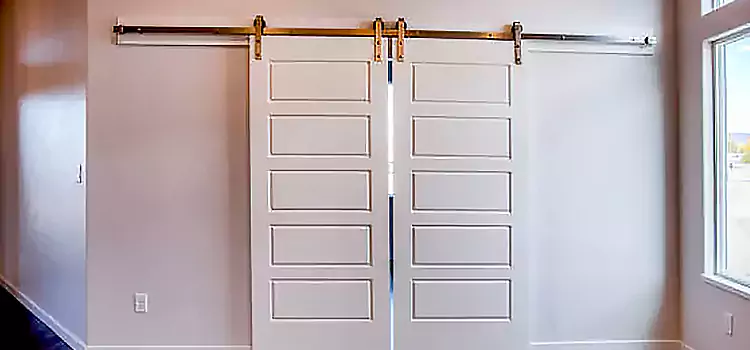 Glass Barn Door with Installation Hardware Kit Allen Park