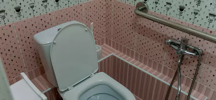 Meeting Diverse Needs With Accessible Restroom Solutions in Allen Park, MI
