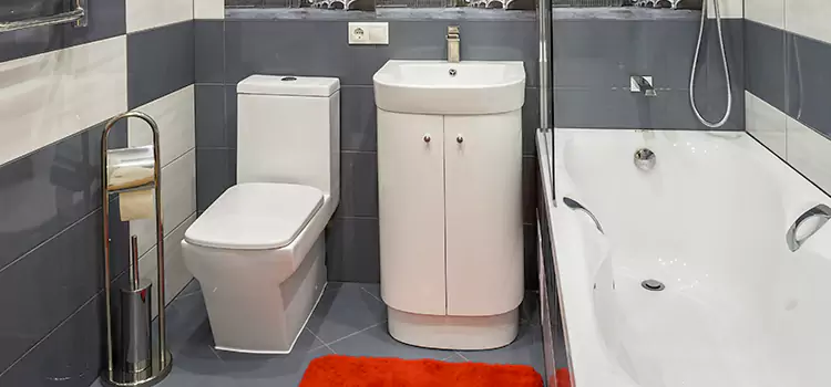 Hansgrohe Shaving Mirror Allen Park