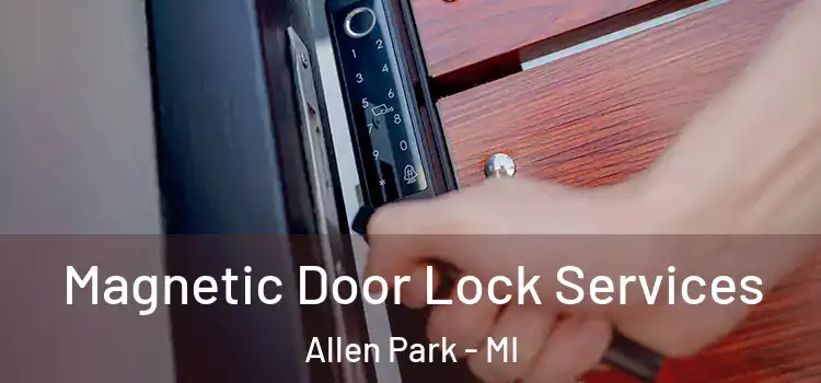  Magnetic Door Lock Services Allen Park - MI