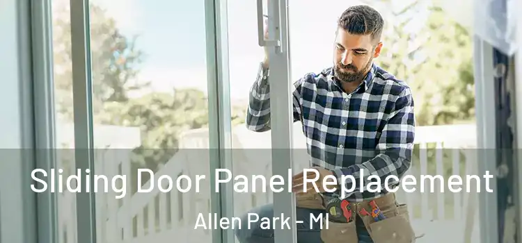  Sliding Door Panel Replacement Allen Park - MI